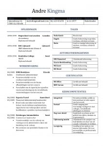 CV Voorbeeld Preston (Purple Flower), voorbeeld curriculum vitae