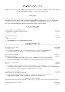 CV Voorbeeld Sheffield Blue Ocean 1/2, gratis cv sjabloon
