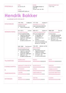 CV Voorbeeld Coventry (Pink Panther), gratis curriculum vitae voorbeeld, verkoopster cv, mode cv
