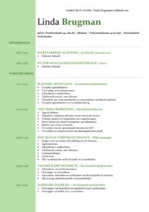 CV Voorbeeld Newport (Mean Green) 1/2, Voorbeeld cv gratis download, office cv, microsoft office cv sjabloon