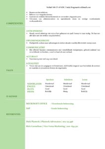 CV Voorbeeld Newport (Mean Green) 2/2, Voorbeeld cv gratis download, office cv, microsoft office cv sjabloon