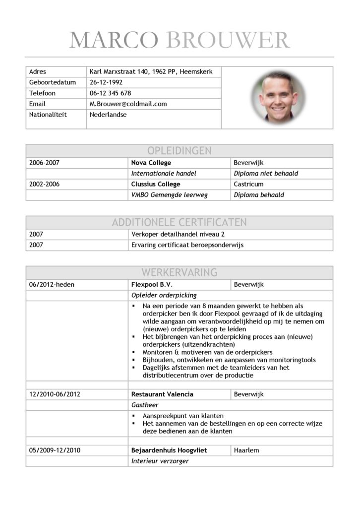 CV Voorbeeld Leicester (Grey Matter) 1/2, curriculum vitae, unieke cv voorbeeld, gratis download