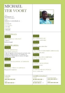 CV Voorbeeld Kingston (Green Grass), cv productie medewerker, cv schoonmaker, cv groene thema