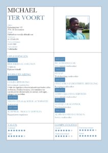 CV Voorbeeld Kingston (Light Blue), cv productie medewerker, cv schoonmaker, gratis voorbeeld cv