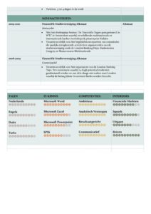 CV Voorbeeld Carlyle North Sea) 2/2, high potential curriculum vitae, pagina 2, cv investment banking, cv sales
