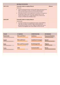 CV Voorbeel Carlyle (Pink Floyd) 2/2, cv maken gratis voorbeeld