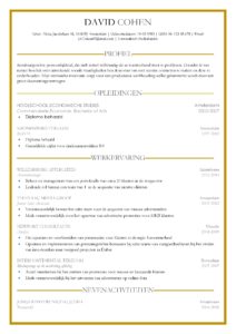 CV David Cohen, uitgelichte curriculum vitae