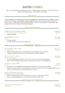 CV Voorbeeld Sheffield (Dark Green) 1/2