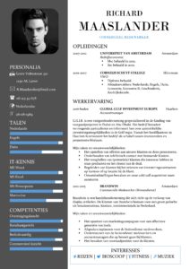 CV Sjabloon York 1-1, voorbeeld cv commercieel medewerker