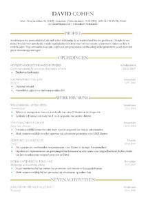 Gratis Curriculum Vitae Sheffield, cv voorbeeld