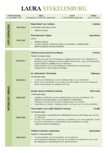 CV Lancaster (Olive Garden) 1/2, uniek cv sjabloon, gratis curriculum vitae voorbeeld, pagina 1