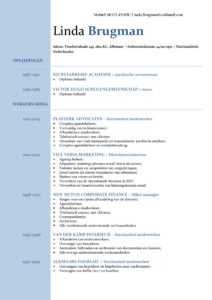 CV Voorbeeld Newport 1/2, gratis curriculum vitae, professioneel, kantoorbaan cv