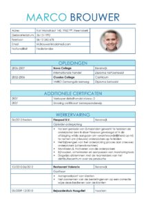 CV Voorbeeld Leicester (Inter Blue) 1/2, cv horeca, cv magazijnkracht, cv orderpicker, gratis voorbeeld cv