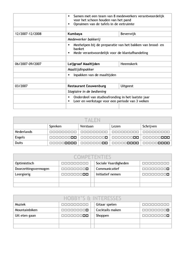 CV Voorbeeld Leicester (Grey Matter) 2/2, curriculum vitae, unieke cv voorbeeld, gratis download