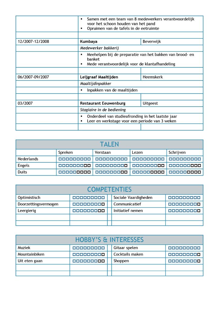 CV Voorbeeld Leicester (Blue Dolphin) 2/2, gratis unieke curriculum vitae, goede cv voorbeeld