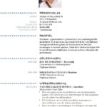 Voorbeeld CV Oxford (Delicate Blue) 1/2, cv voorbeeld word, gratis cv maken