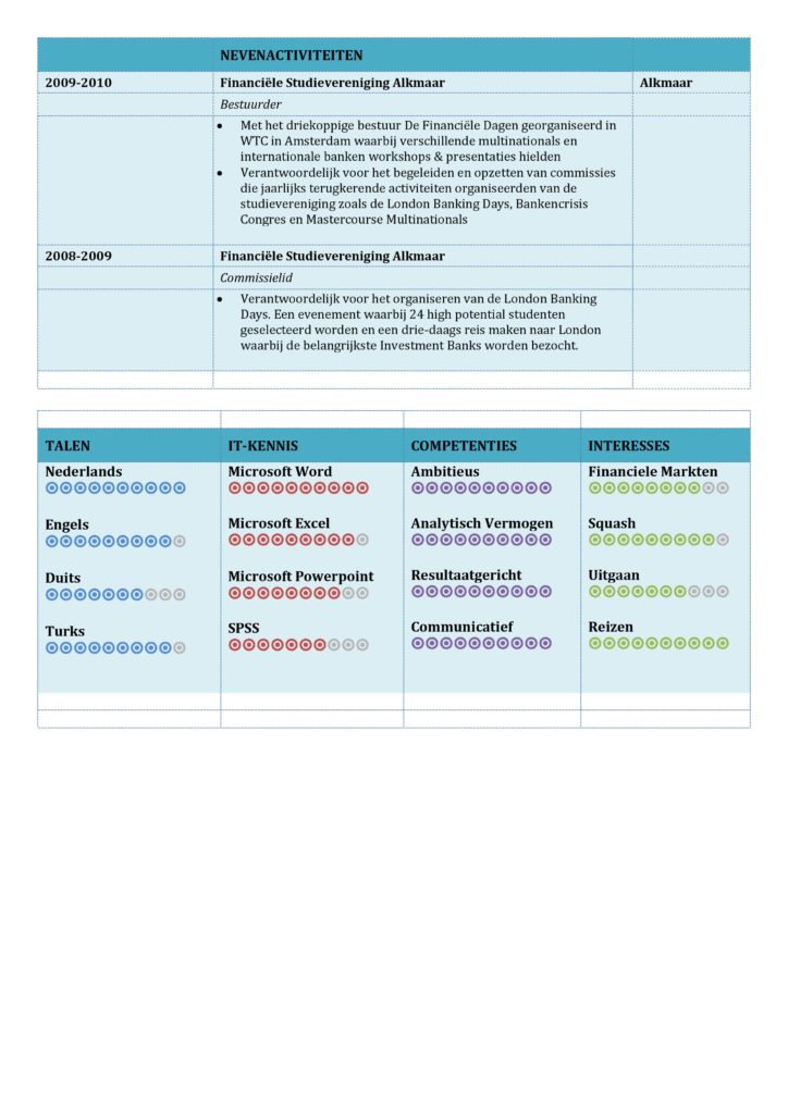 CV Voorbeeld Carlyle (Marina Blue) 2/2, voorbeeld cv, WO HBO curriculum vitae