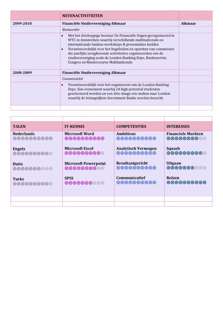 CV Voorbeeld Carlyle (Purple Rain) 2/2, curriculum vitae pagina 2