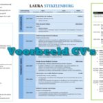 Curriculum vitae (cv)