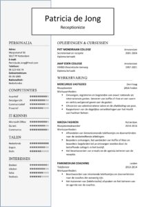 CV Sjabloon Birmingham 1-2 (2 paginas)