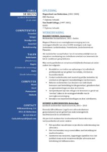 CV Sjabloon Bradford 1-2 (2 paginas)