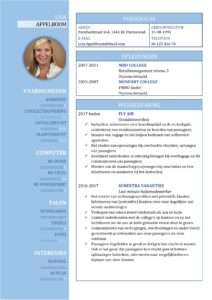 Fonkelnieuw Gratis CV Sjabloon Voorbeelden | CV Templates / Sjablonen in Word FE-69