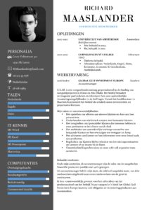 CV Sjabloon York 1-2 (2 paginas)